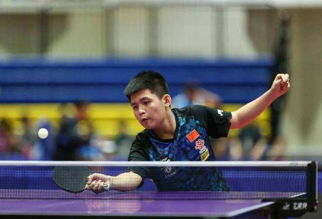 企业和机构 企业和机构