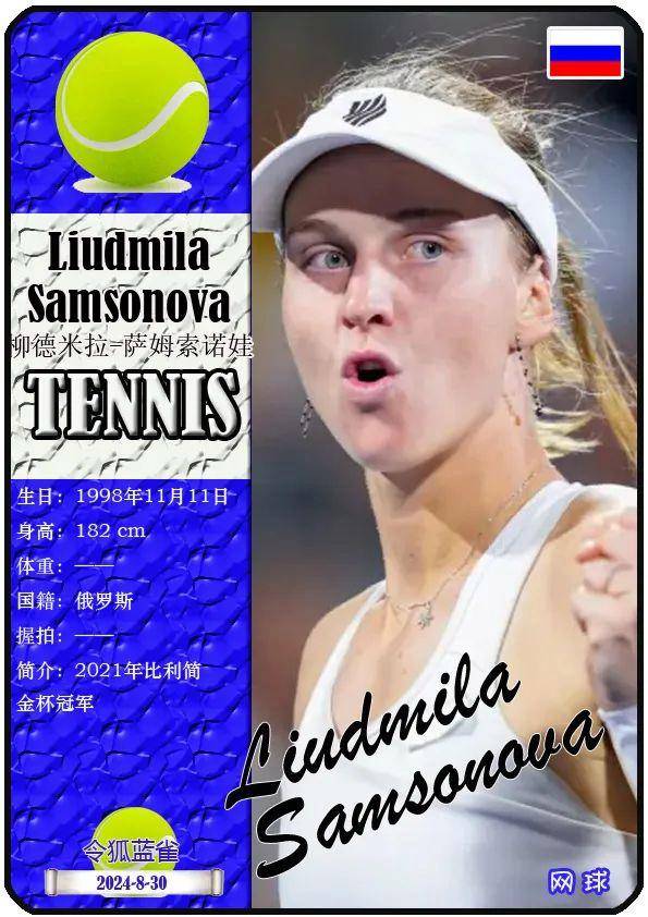 在内的退役 在内的退役