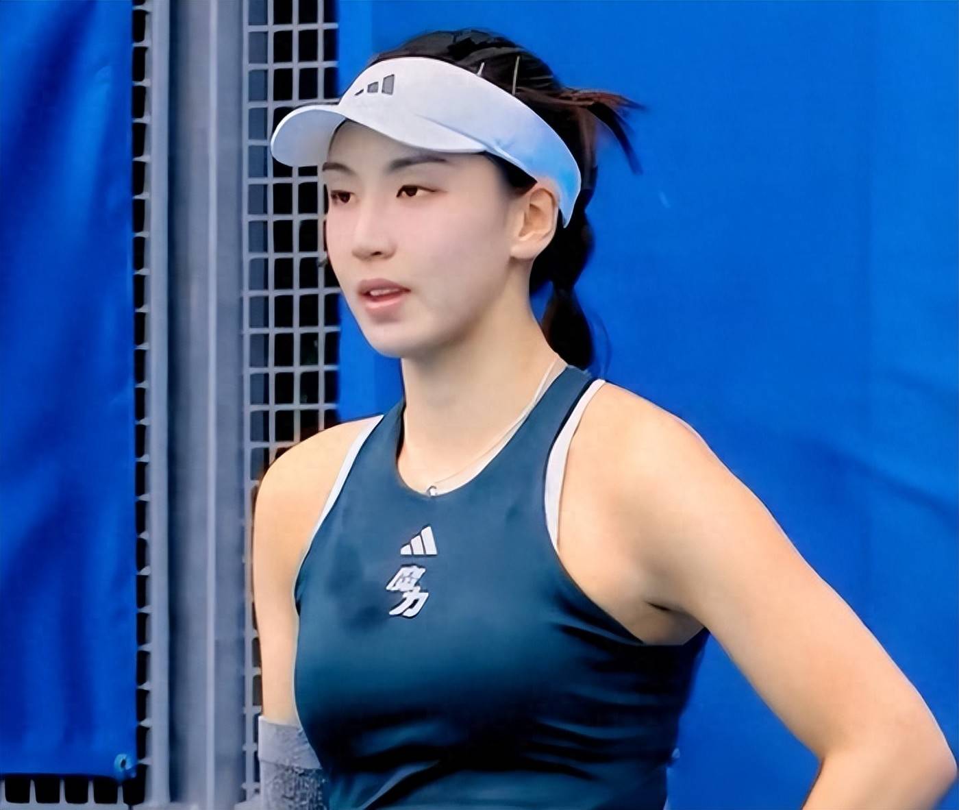 也预示着即 也预示着即