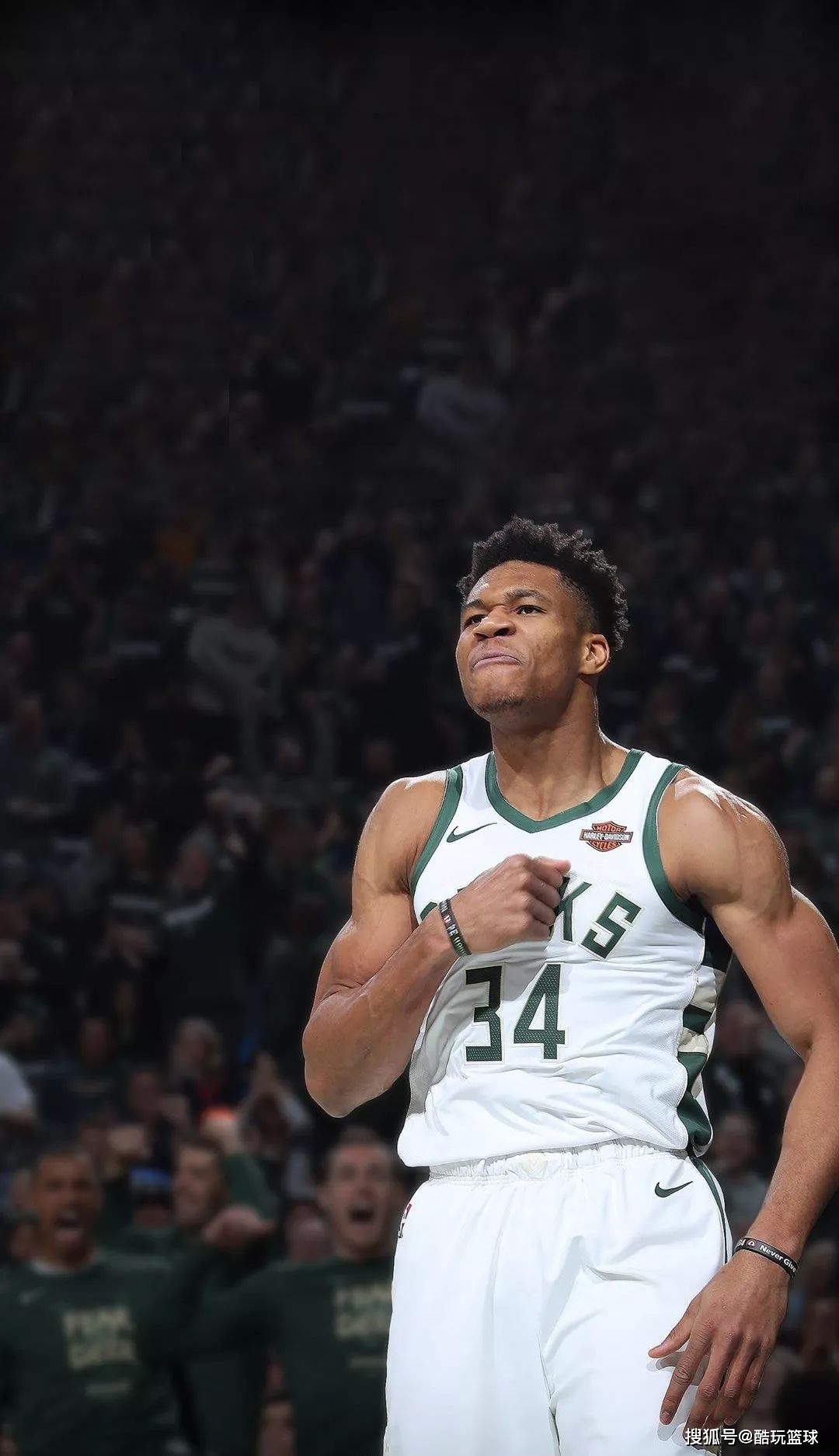 后脚之间的 后脚之间的